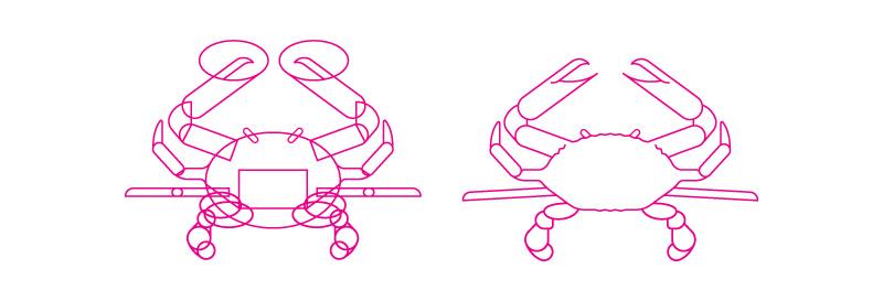 Complex Crab Illustration