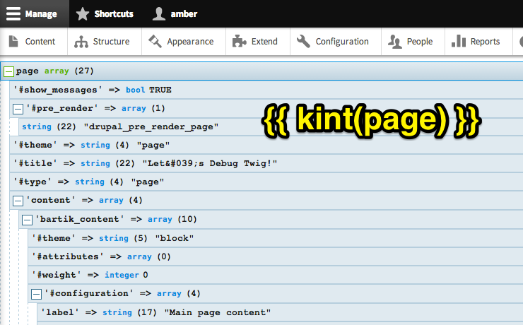 This is Kint output of page array.